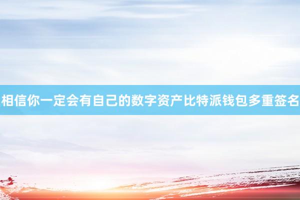 相信你一定会有自己的数字资产比特派钱包多重签名