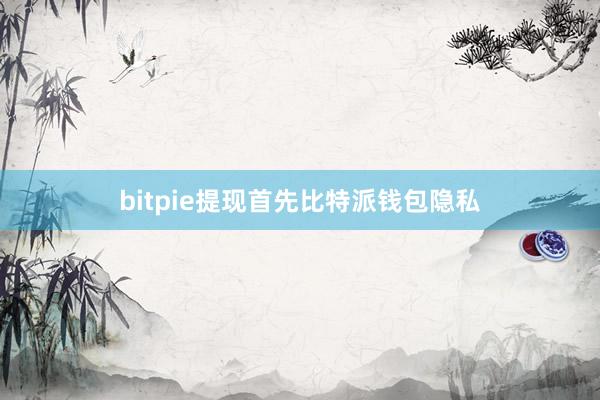 bitpie提现首先比特派钱包隐私