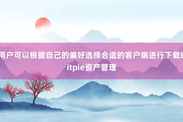 用户可以根据自己的偏好选择合适的客户端进行下载Bitpie资产管理