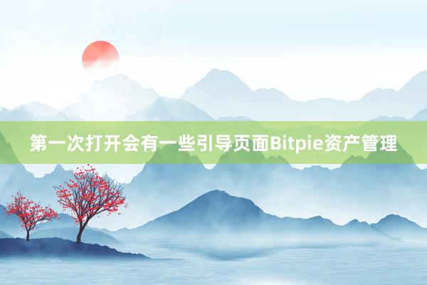 第一次打开会有一些引导页面Bitpie资产管理