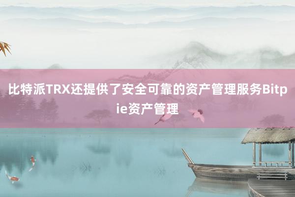 比特派TRX还提供了安全可靠的资产管理服务Bitpie资产管理