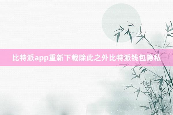 比特派app重新下载除此之外比特派钱包隐私