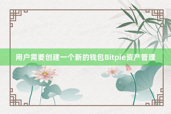 用户需要创建一个新的钱包Bitpie资产管理