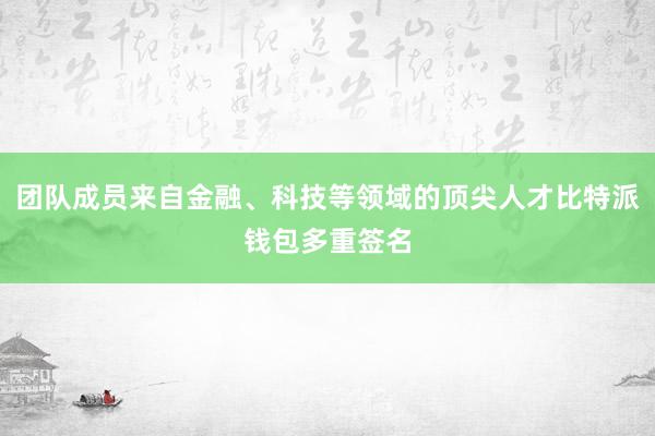 团队成员来自金融、科技等领域的顶尖人才比特派钱包多重签名