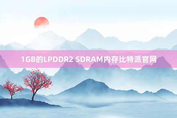 1GB的LPDDR2 SDRAM内存比特派官网