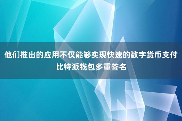 他们推出的应用不仅能够实现快速的数字货币支付比特派钱包多重签名