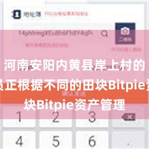 河南安阳内黄县岸上村的农技人员正根据不同的田块Bitpie资产管理