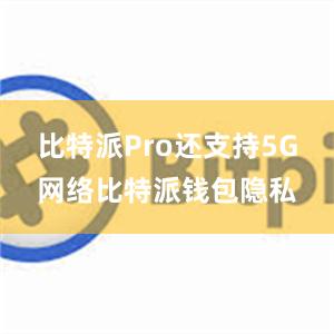 比特派Pro还支持5G网络比特派钱包隐私